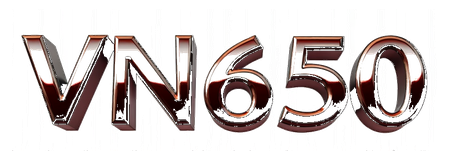 vn650 logo